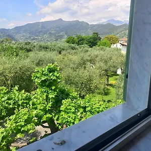 La Madonnina Frühstückspension Querceta